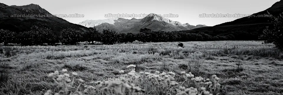 Highland apple meadow with distant mountains