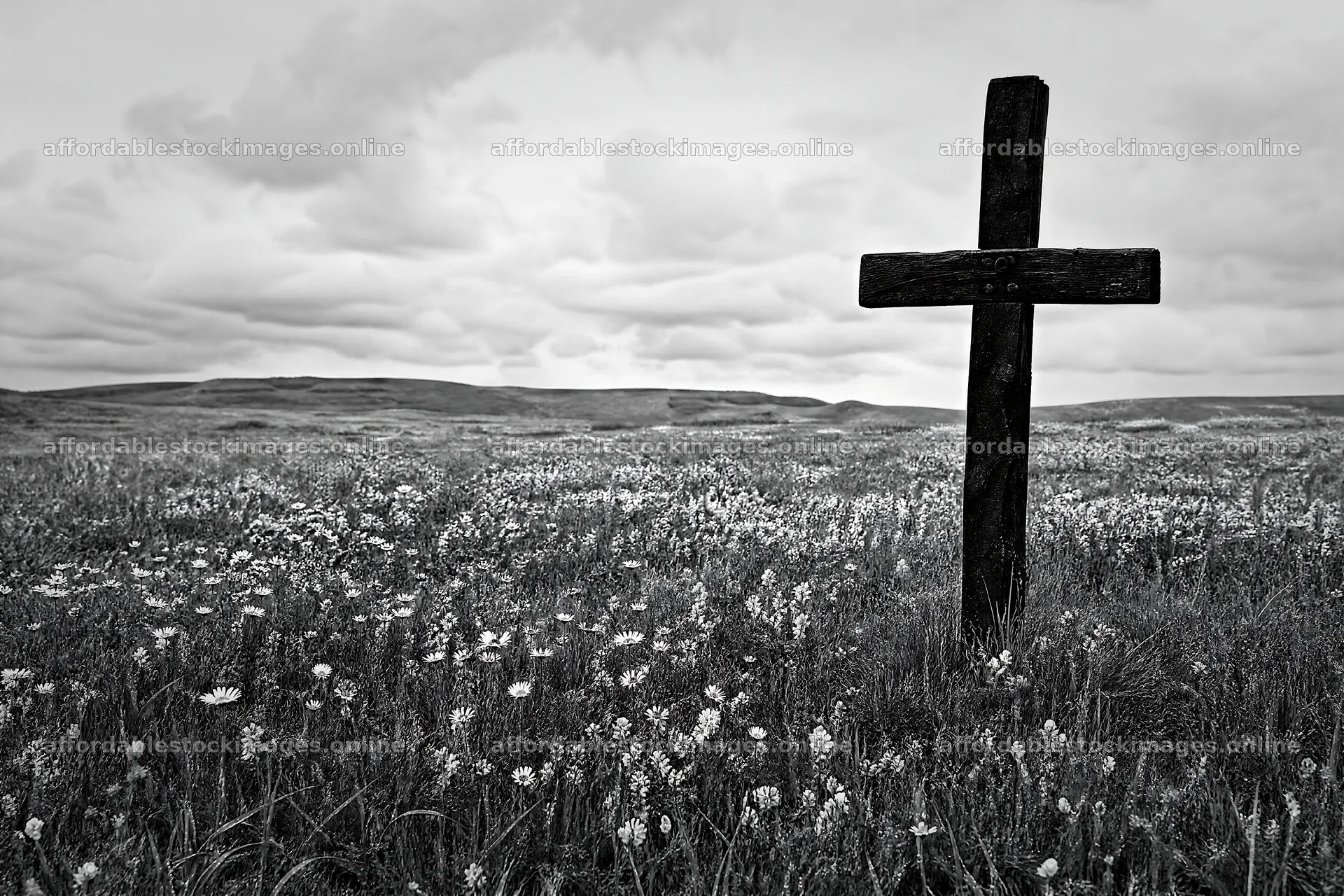 Rustic Christian cross in spring meadow  stock images 9722x6480
