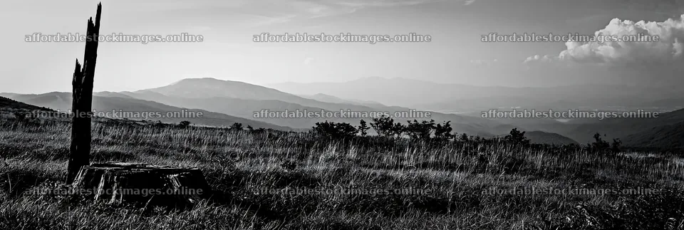 Fukushima native meadow with weathered stump and distant hills – stock images 13690x4602