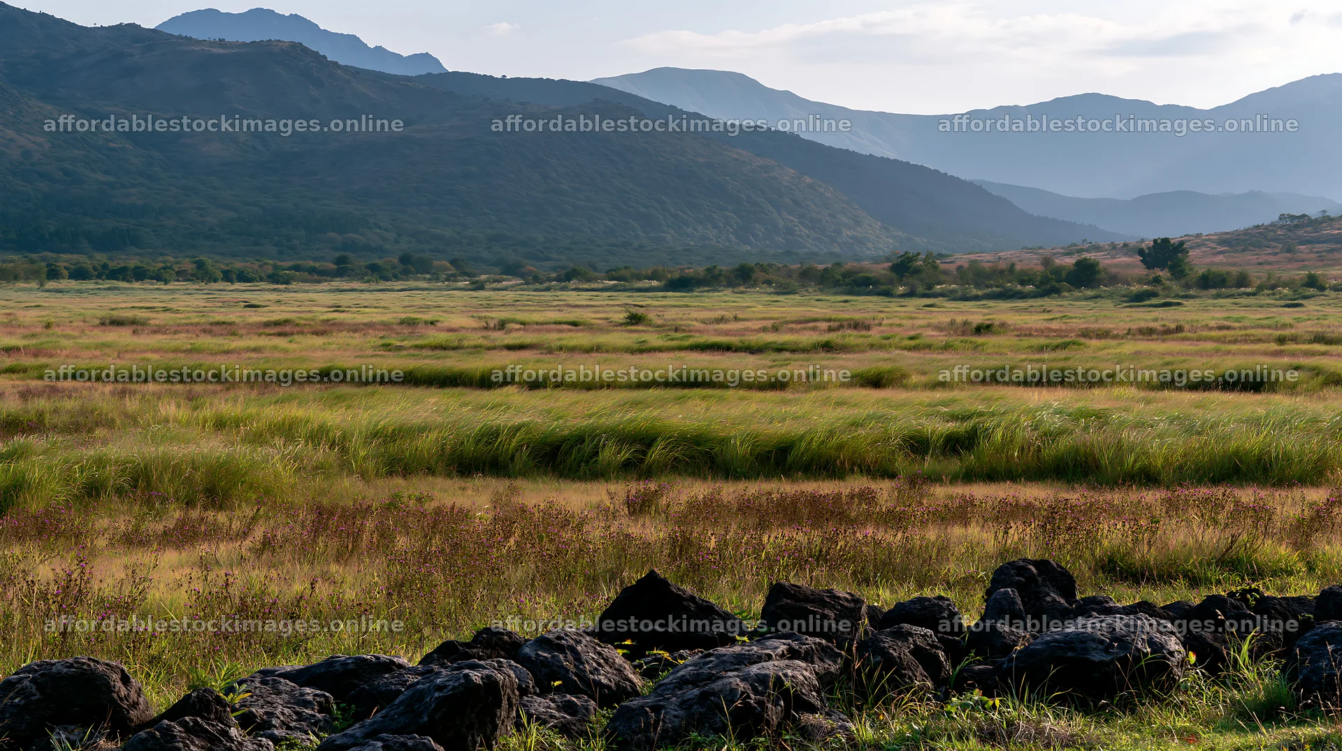 Kumamoto volcanic meadow dark rock foreground with distant hills – stock images 10608x5938