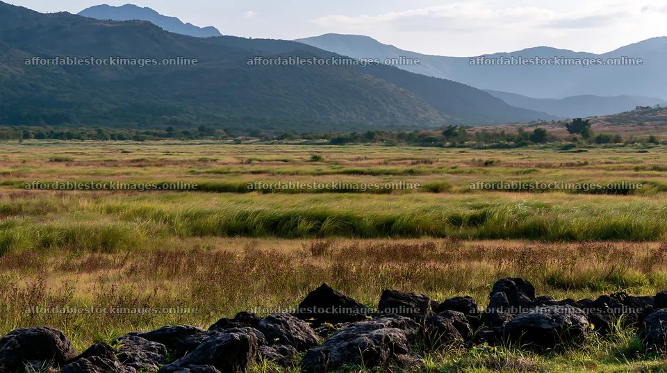 Kumamoto volcanic meadow dark rock foreground with distant hills – stock images 10608x5938