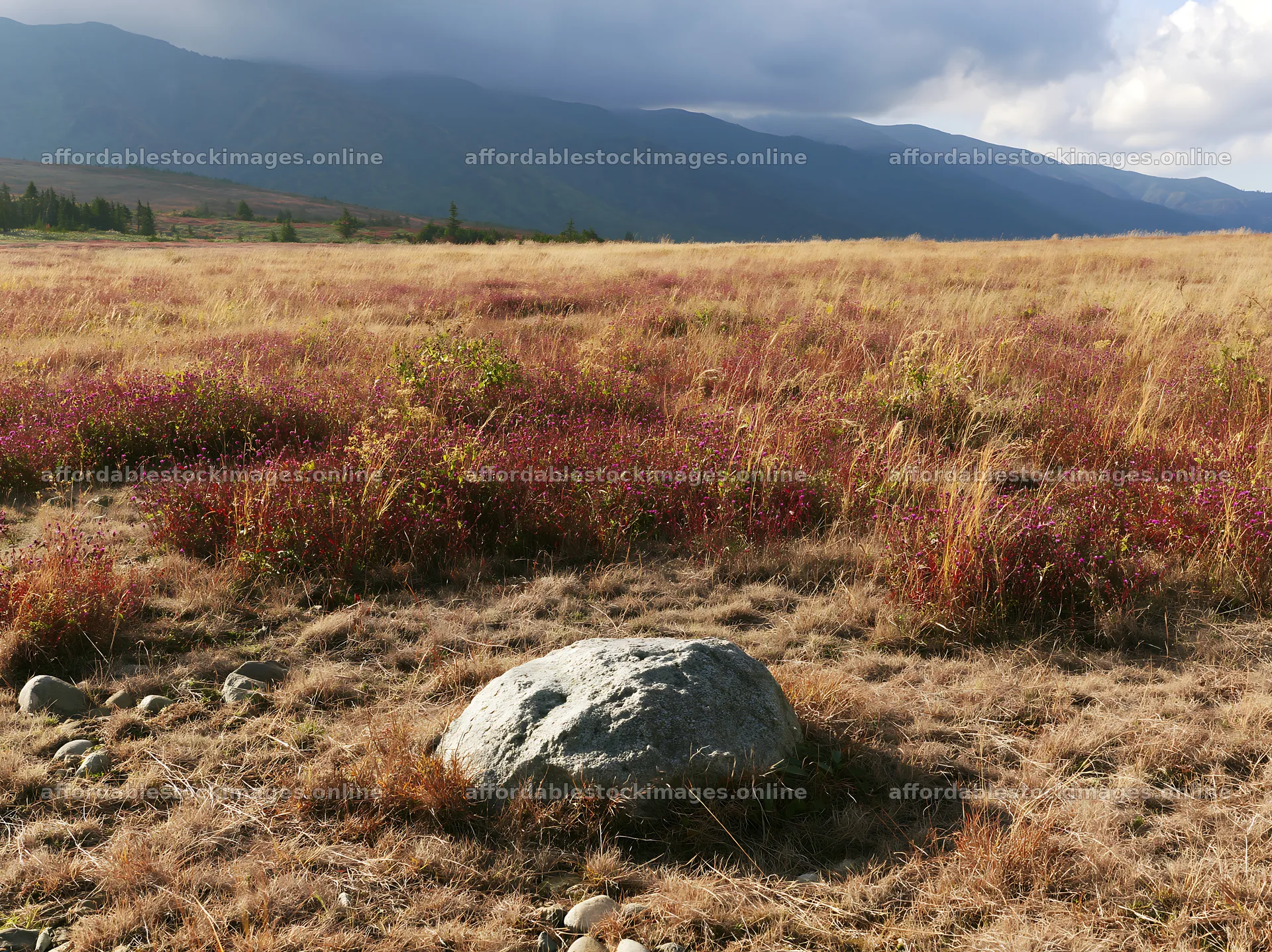 Nagano drought resilient meadow granite boulder near grassland – stock images 9174x6866