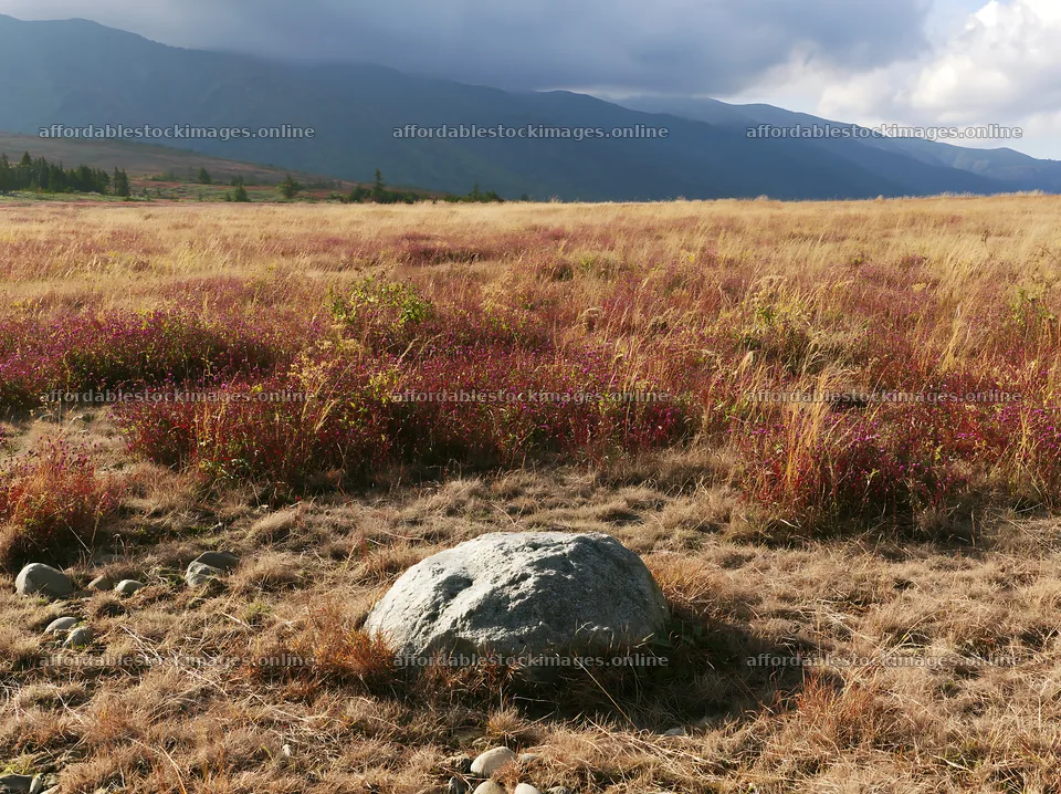 Nagano drought resilient meadow granite boulder near grassland – stock images 9174x6866