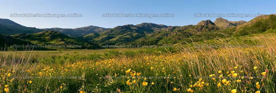 Meadow under crags with flowers and mountains in the background – stock images 13690x4602