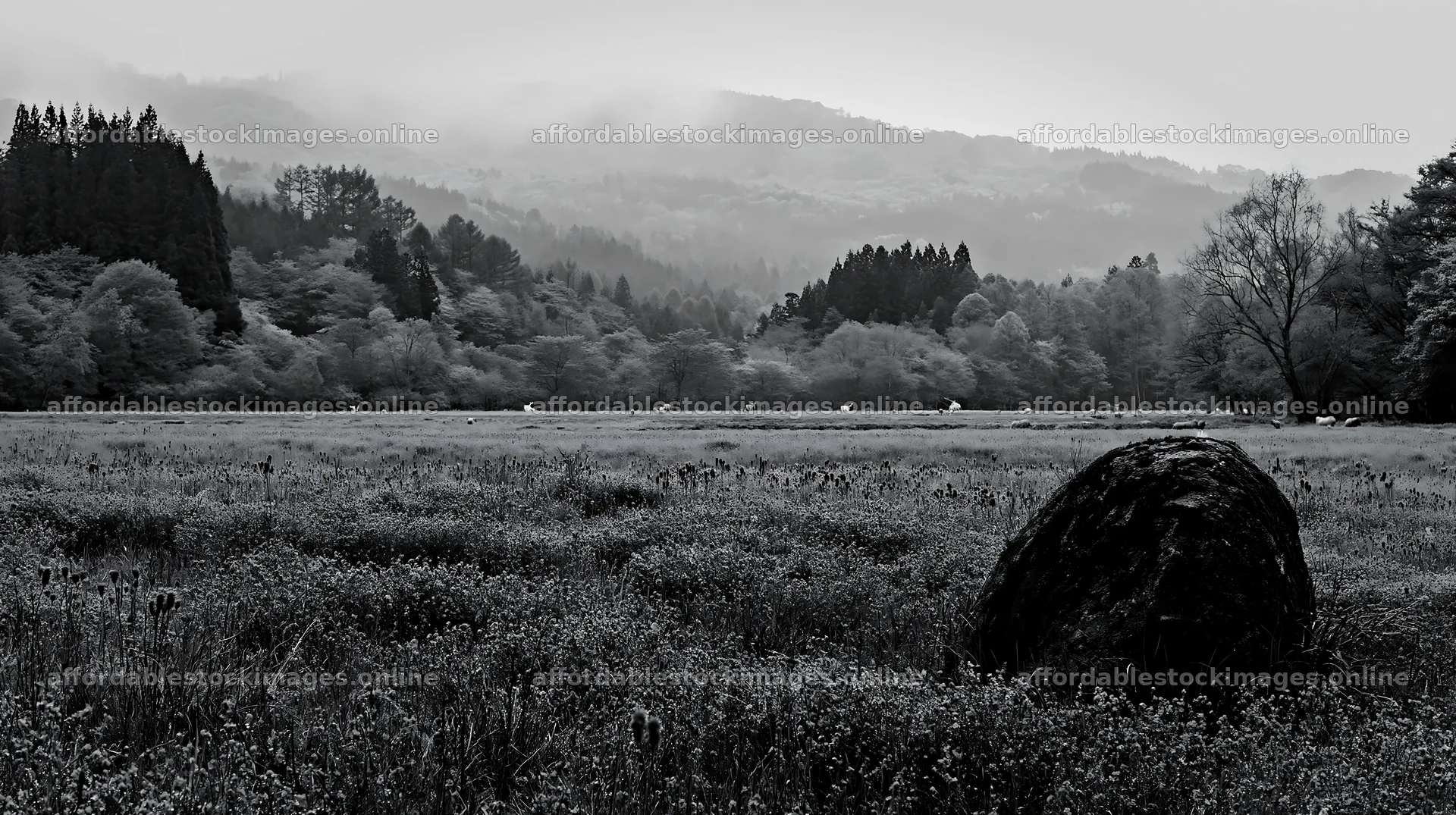 Miyagi spring recovery meadow with mossy stone – stock images 10608x5938