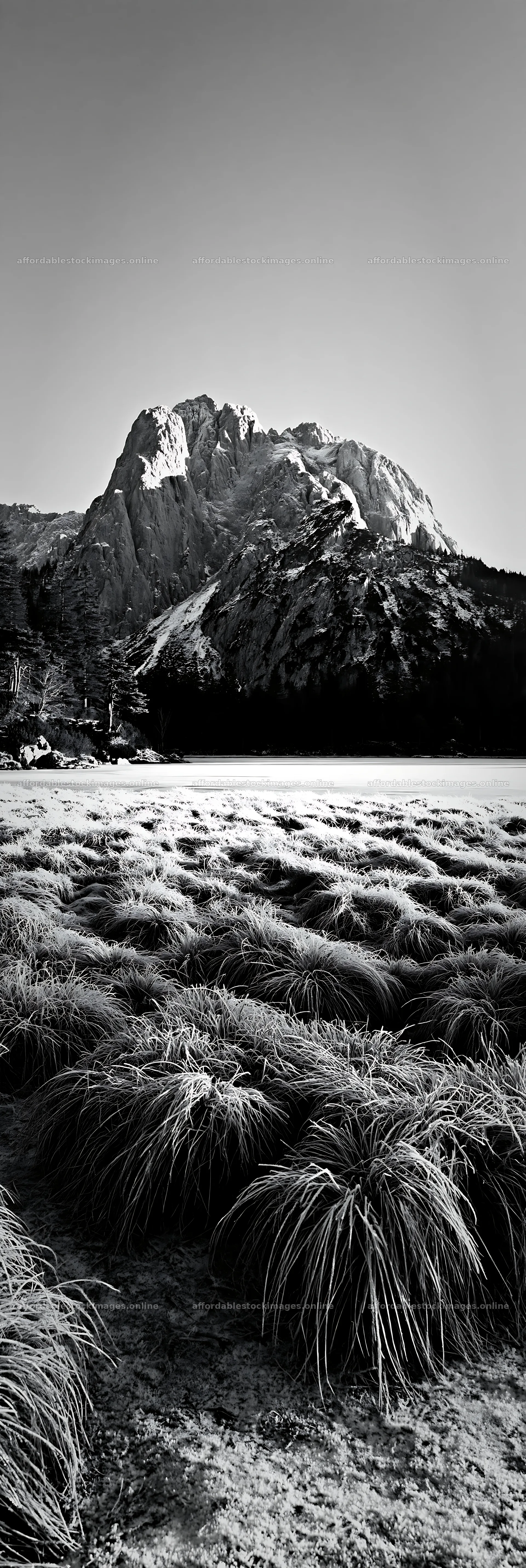 Frozen tarn meadow with grass near mountain – stock images 4602x13690