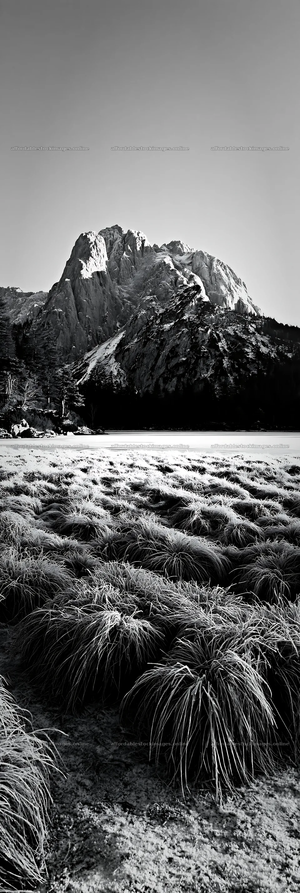 Frozen tarn meadow with grass near mountain – stock images 4602x13690