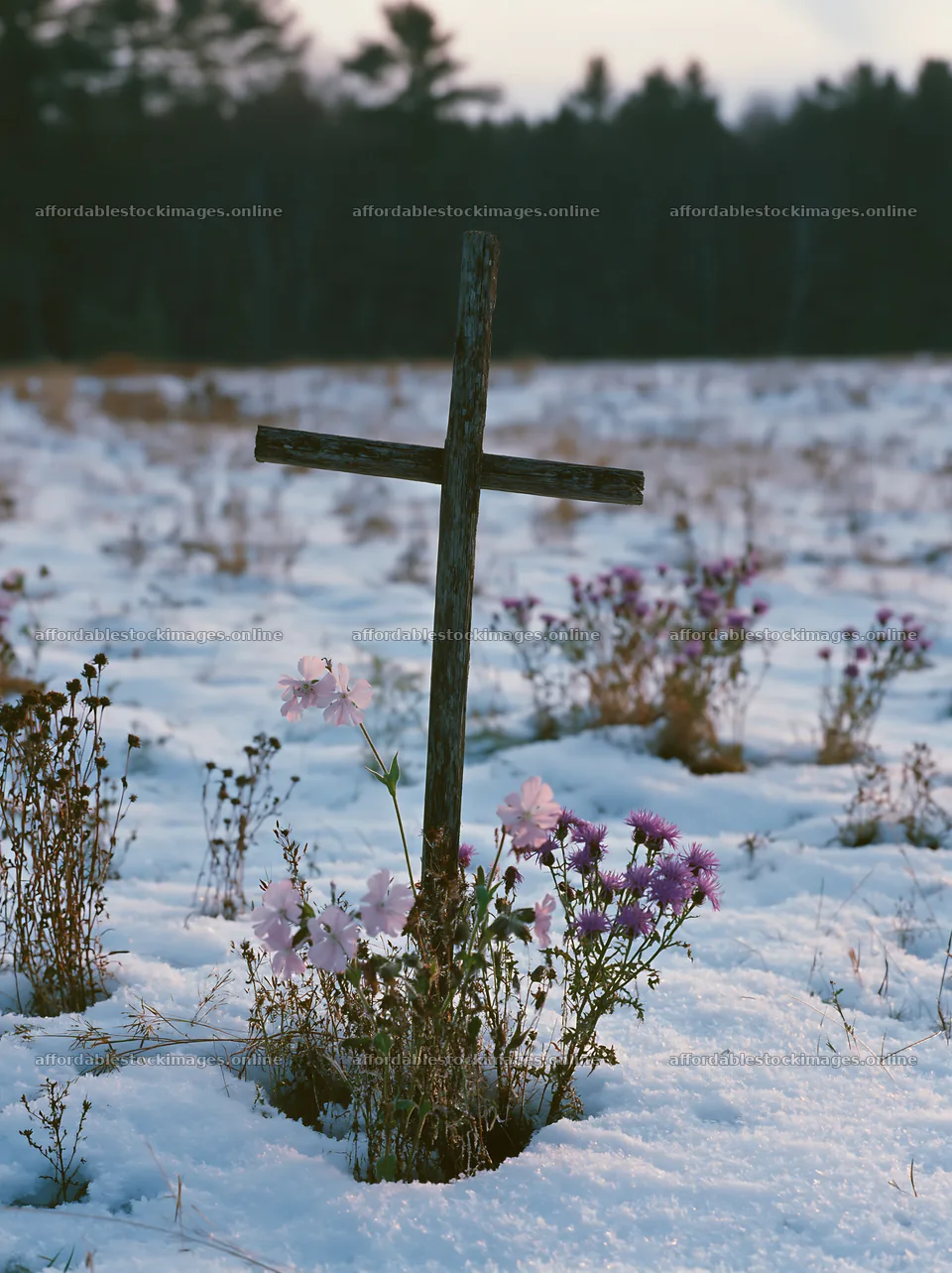Christian cross in snow-filled meadow with flowers – stock images 6866x9174