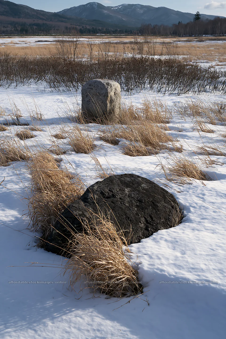 Aomori climate resilient meadow with boulder – stock images 6480x9722