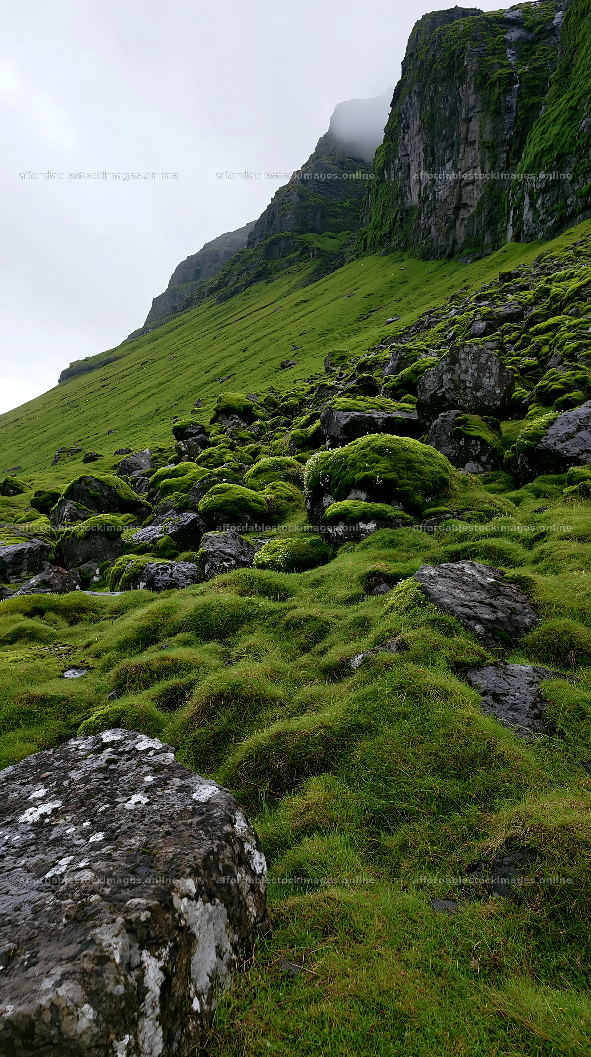 Mossy boulder meadow with rocky landscape and green grass – stock images 5938x10608