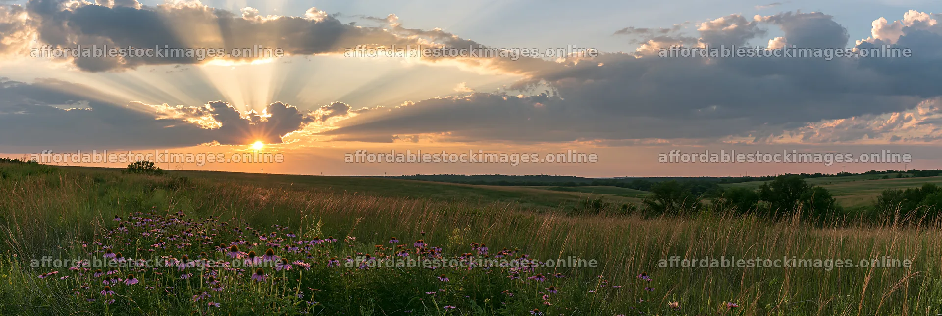 Sunset over a meadow with crepuscular rays shining through – stock images 13690x4602