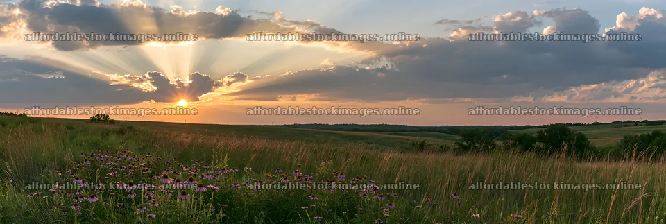 Sunset over a meadow with crepuscular rays shining through – stock images 13690x4602
