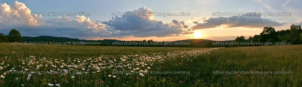 German foothill meadow with flowers at sunset – stock images 14762x4268