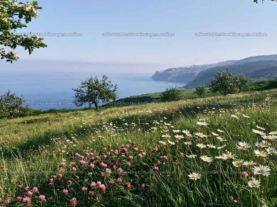 Spring orchard meadow with flowers near the coast – stock images 9174x6866