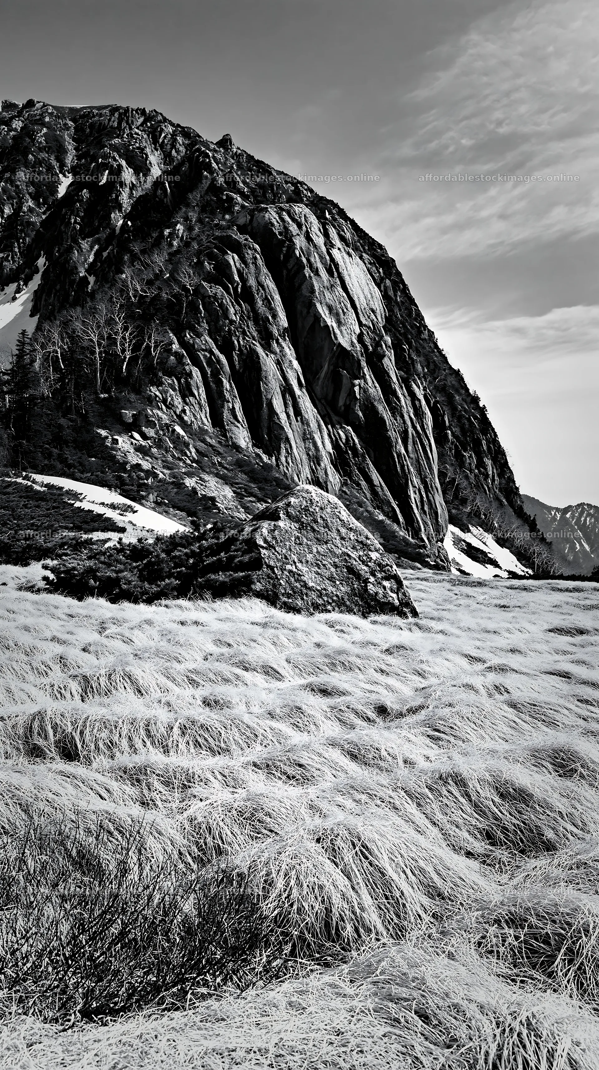 Nagano drought resilient meadow granite boulder – stock images 5938x10608
