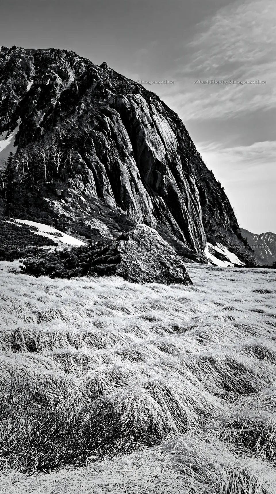 Nagano drought resilient meadow granite boulder – stock images 5938x10608