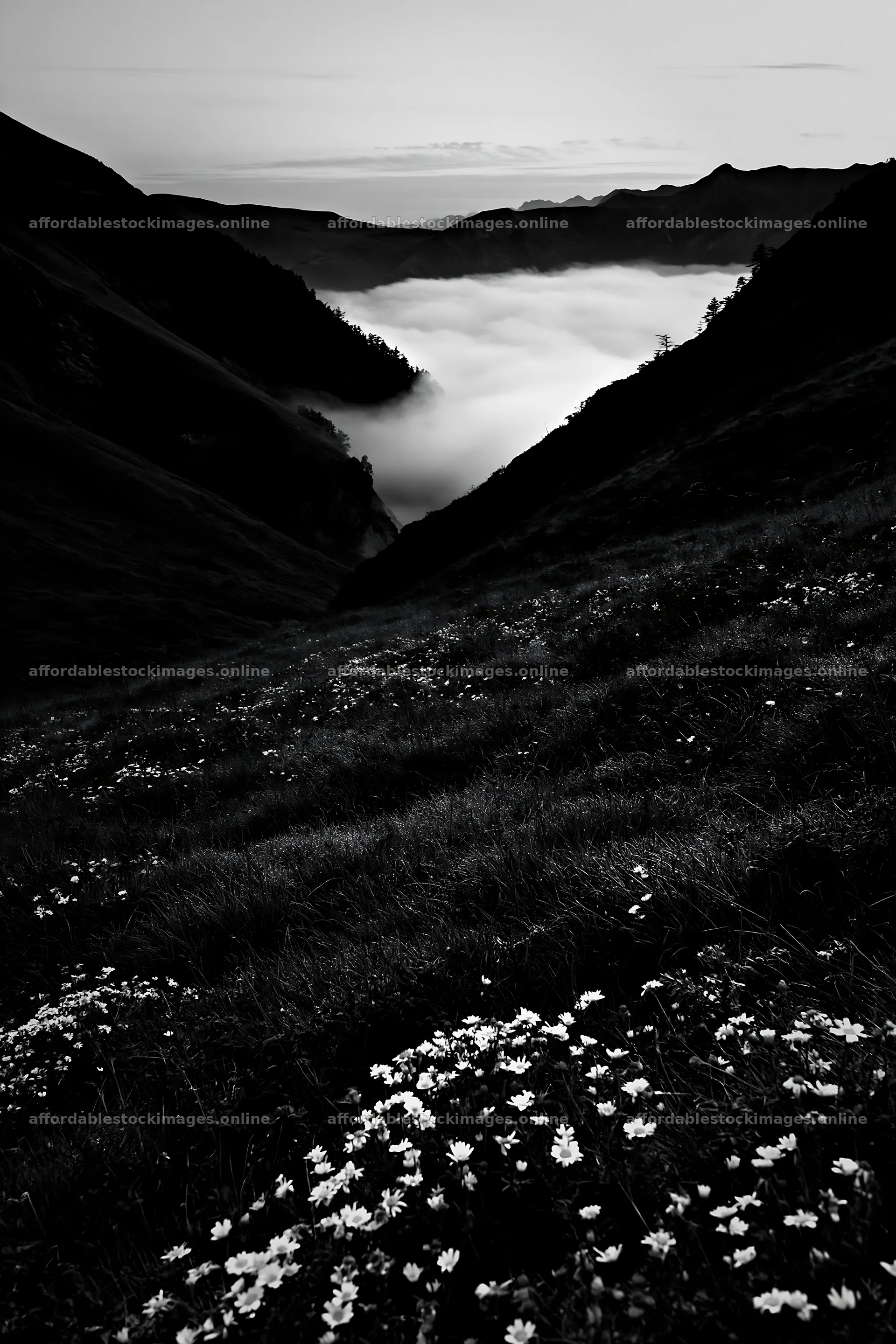 Meadow with dew and fog in the valley at dawn – stock images 6480x9722