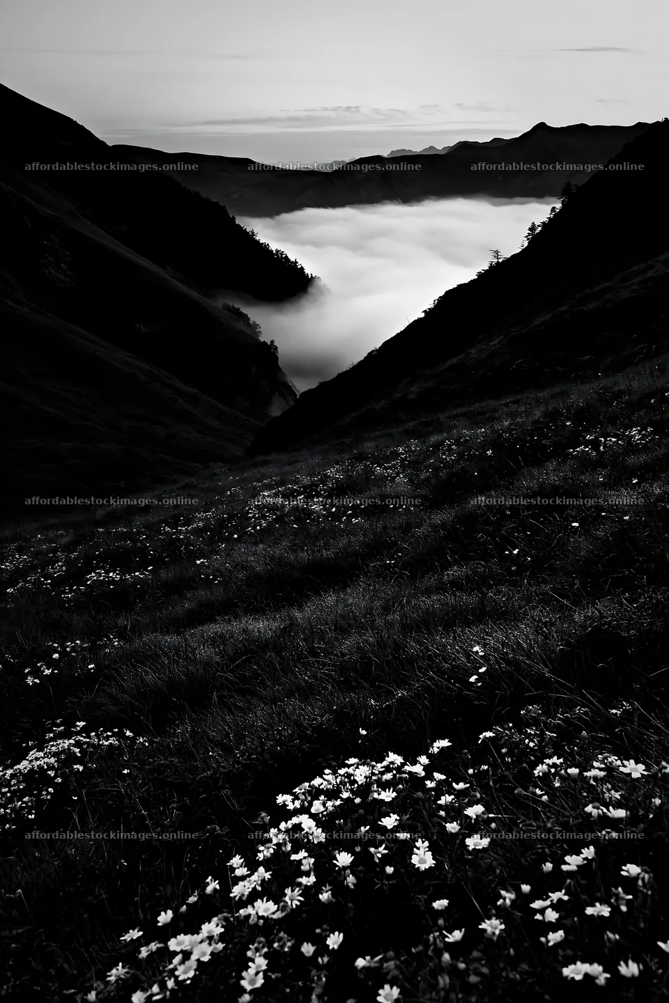 Meadow with dew and fog in the valley at dawn – stock images 6480x9722