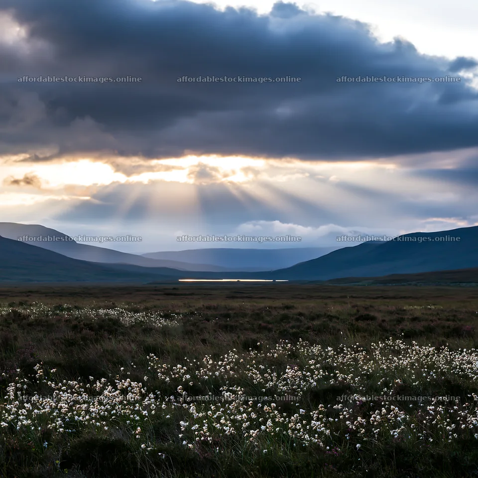 Crepuscular rays meadow with clouds and distant mountains – stock images 7938x7938