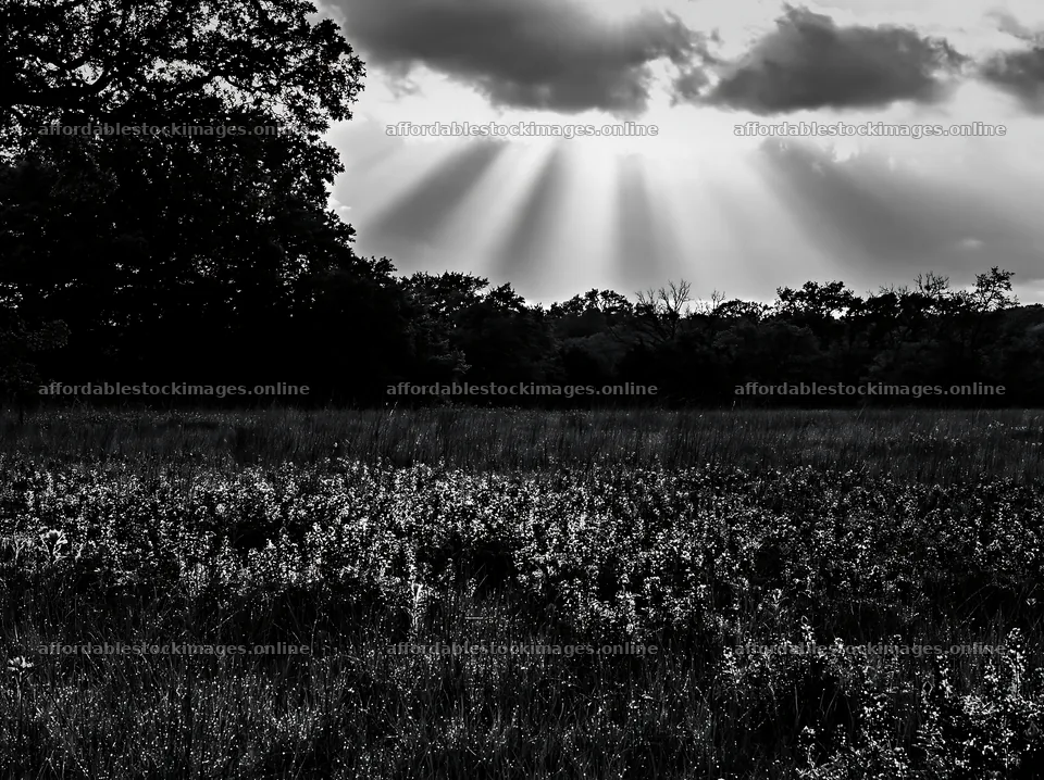 Crepuscular rays shine through clouds over a meadow – stock images 9174x6866