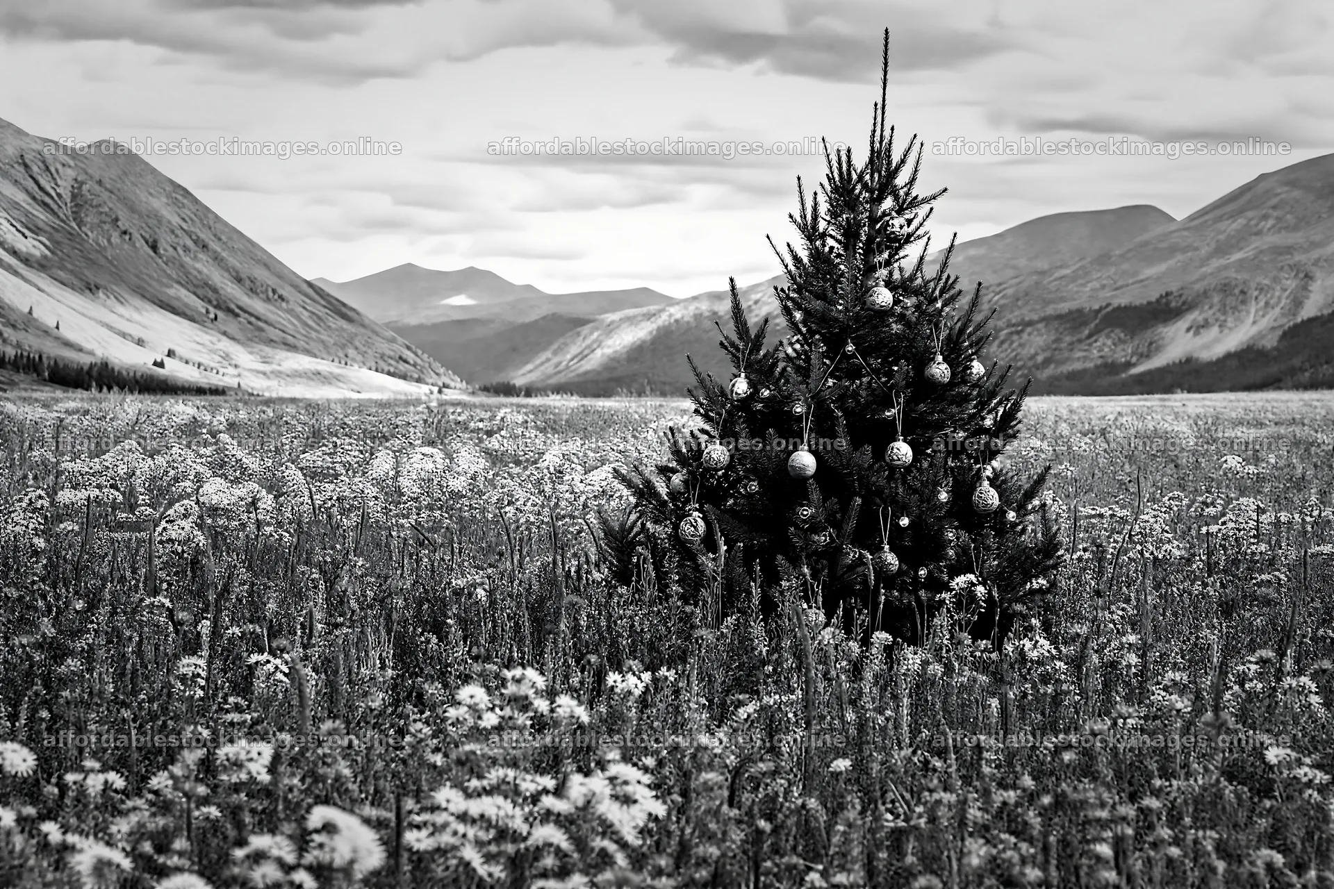 Decorated Christmas tree in mountain valley meadow – stock images 9722x6480