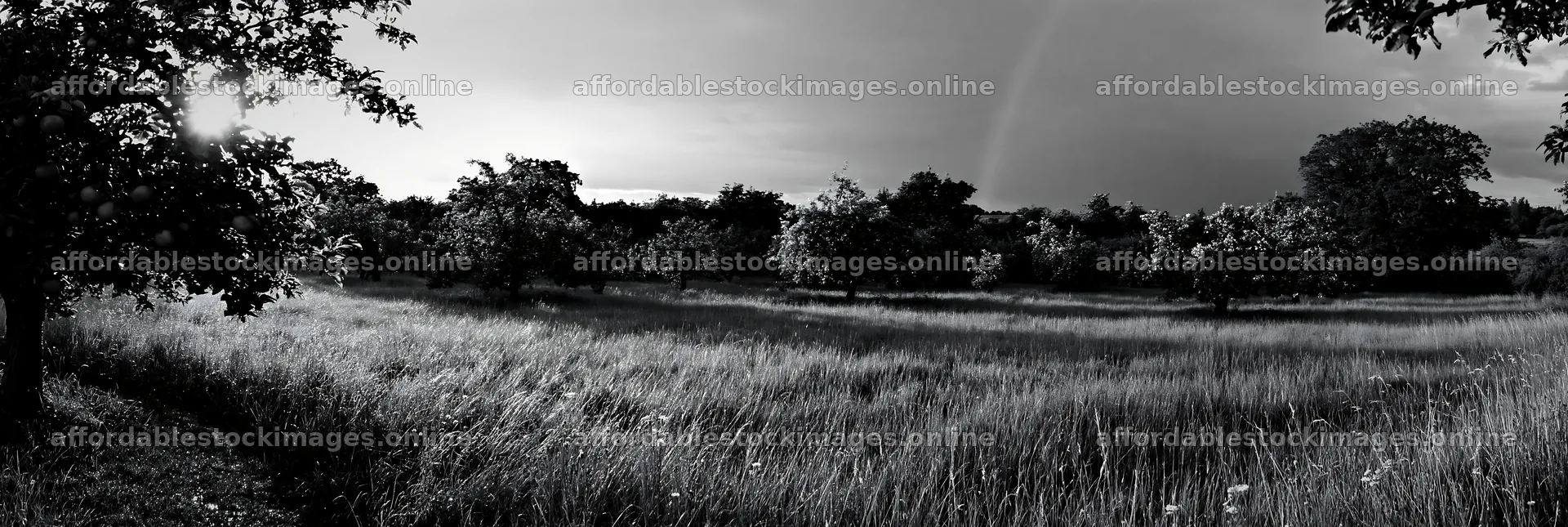 Meadow in a valley with apple trees and a rainbow in the sky – stock images 13690x4602