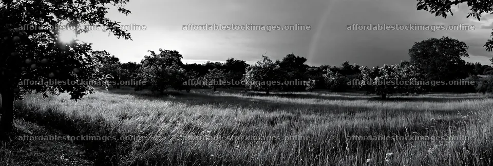 Meadow in a valley with apple trees and a rainbow in the sky – stock images 13690x4602
