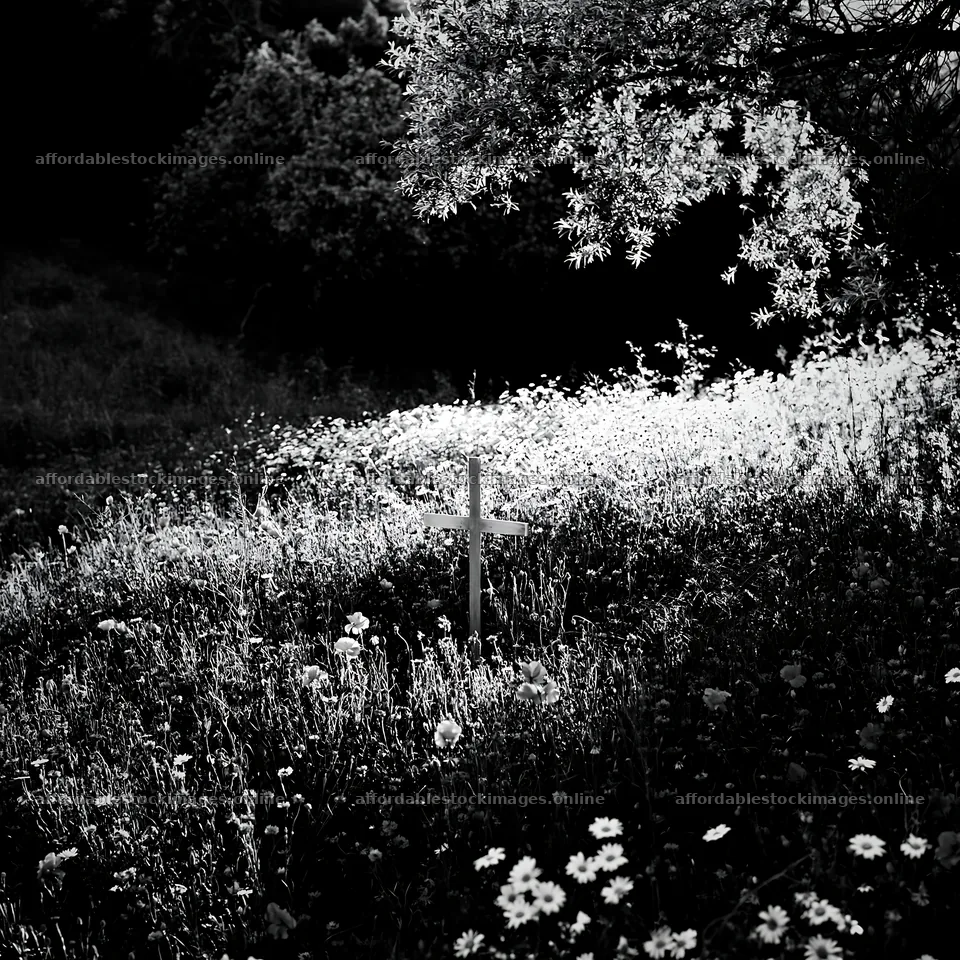 Christian cross in a meadow with flowers under sunlight – stock images 7938x7938