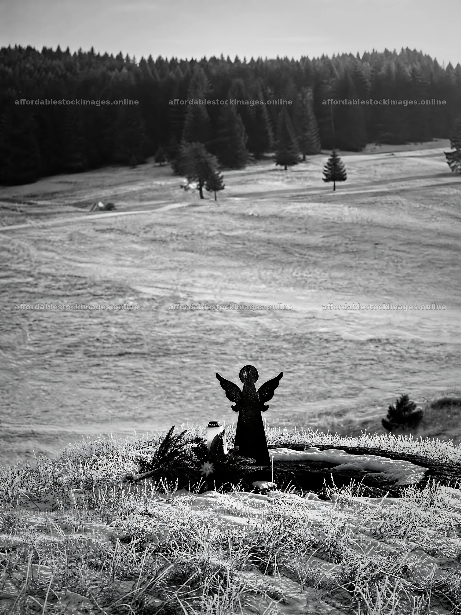 Winter angel stands in a meadow surrounded by trees – stock images 6874x9166