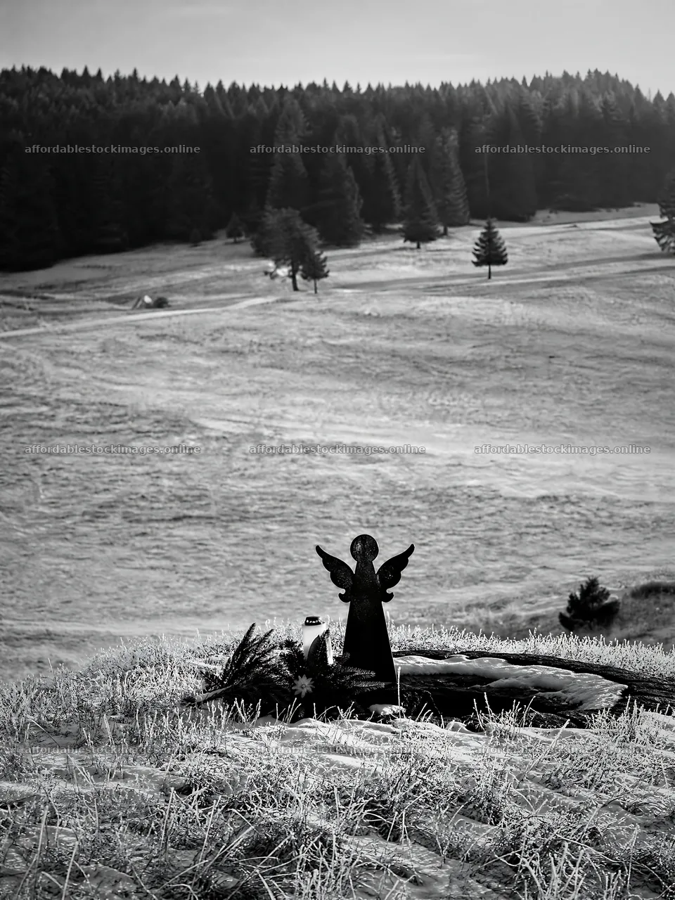 Winter angel stands in a meadow surrounded by trees – stock images 6874x9166