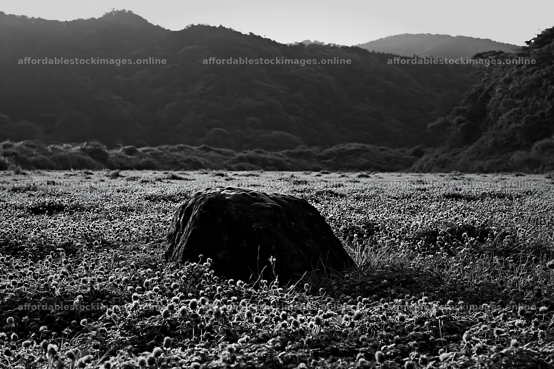 Mossy stone in Miyagi spring recovery meadow – stock images 9722x6480