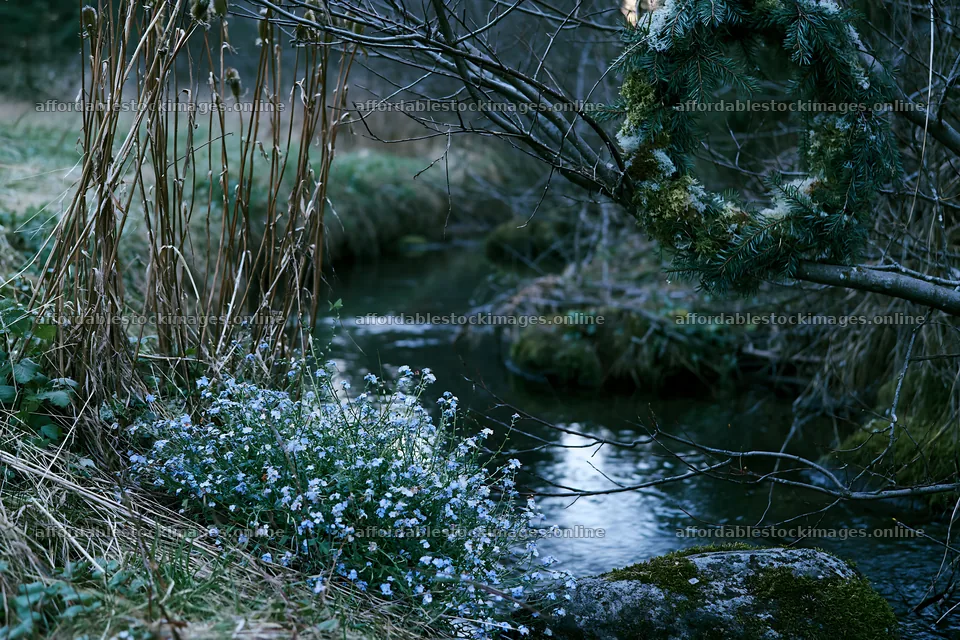 Christmas wreaths beside stream in meadow – stock images 9722x6480