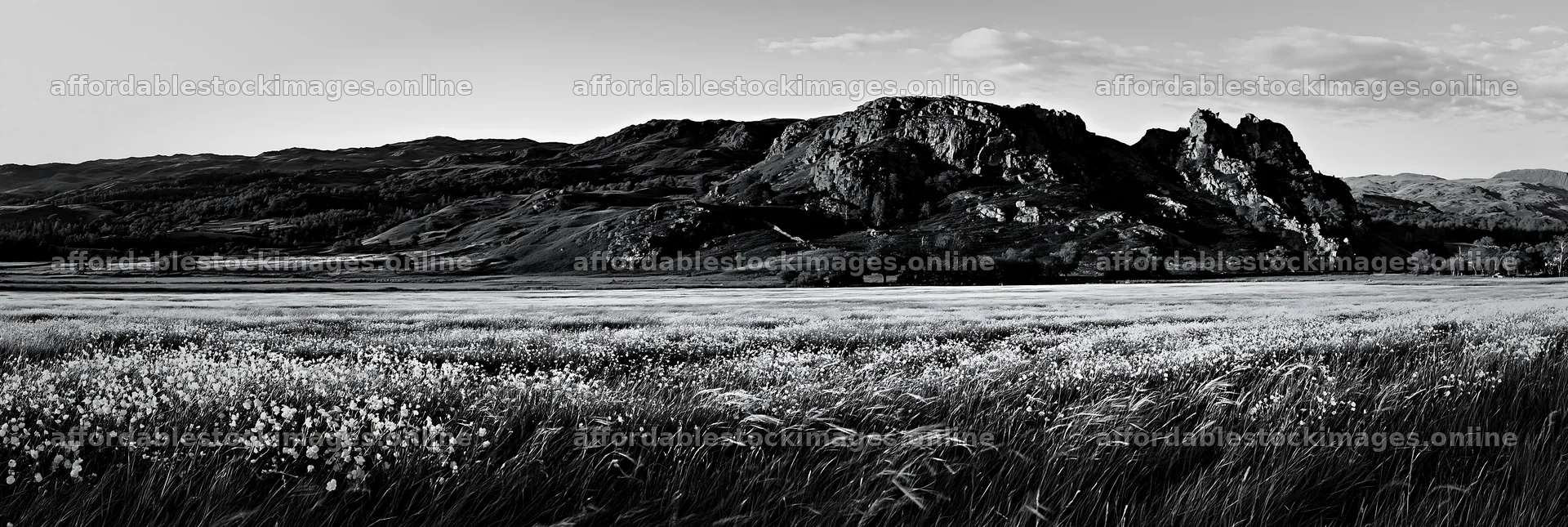 Meadow under crags with wildflowers at sunset – stock images 13690x4602
