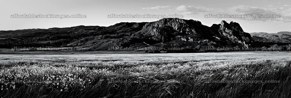 Meadow under crags with wildflowers at sunset – stock images 13690x4602