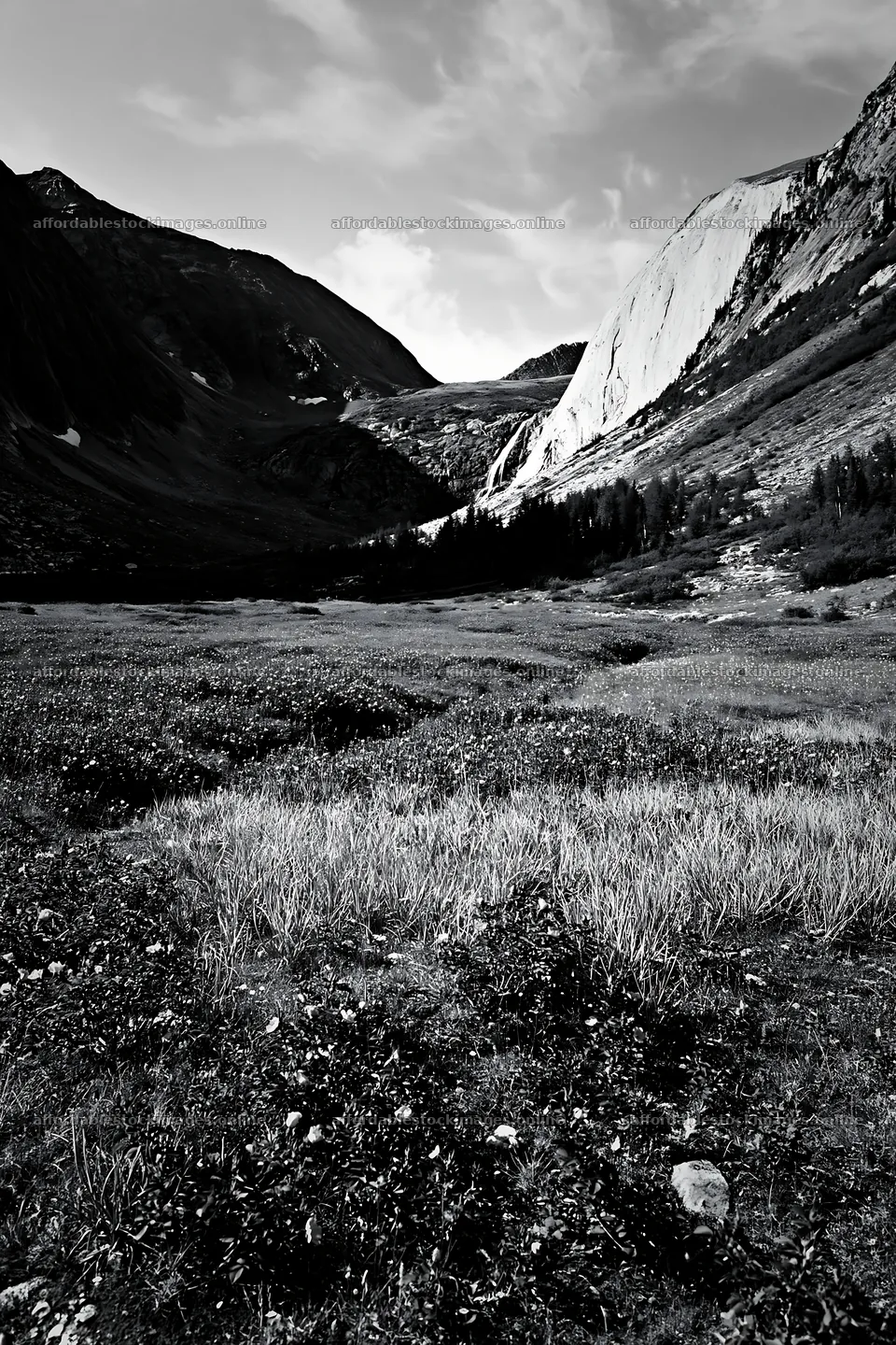 Rose meadow below valley with distant waterfall – stock images 6480x9722