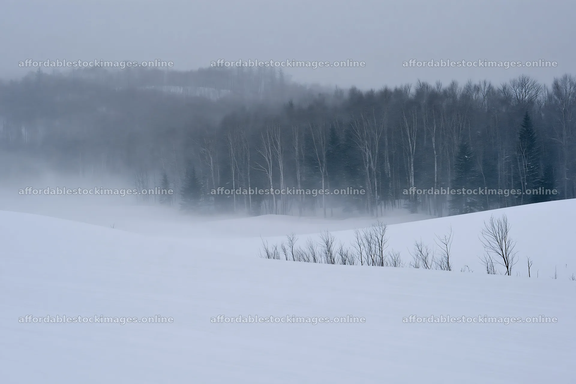 Snow covered Biei hills meadow in winter season – stock images 9722x6480