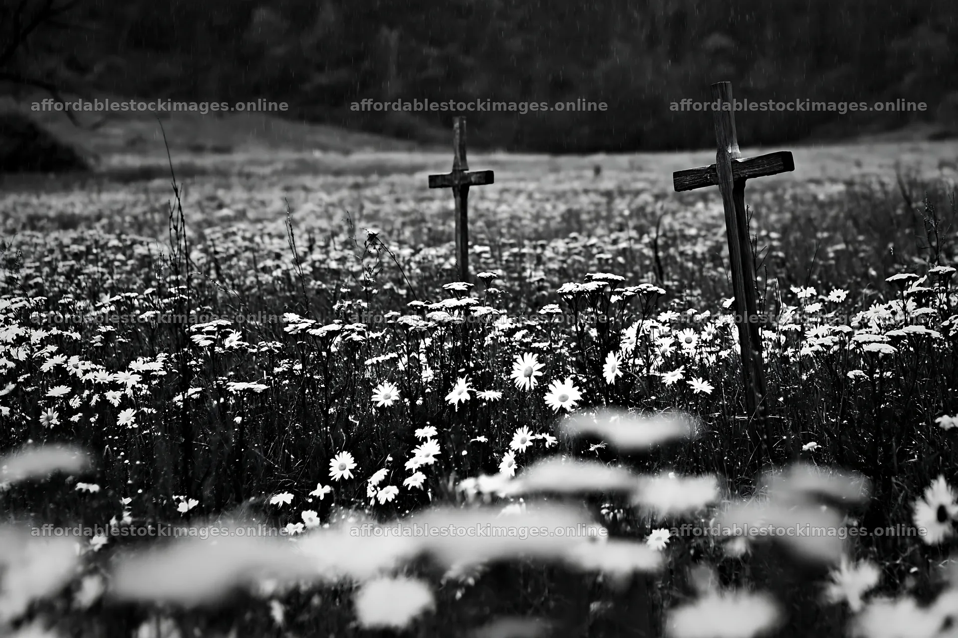 Christian crosses in rain soaked meadow with flowers – stock images 9722x6480