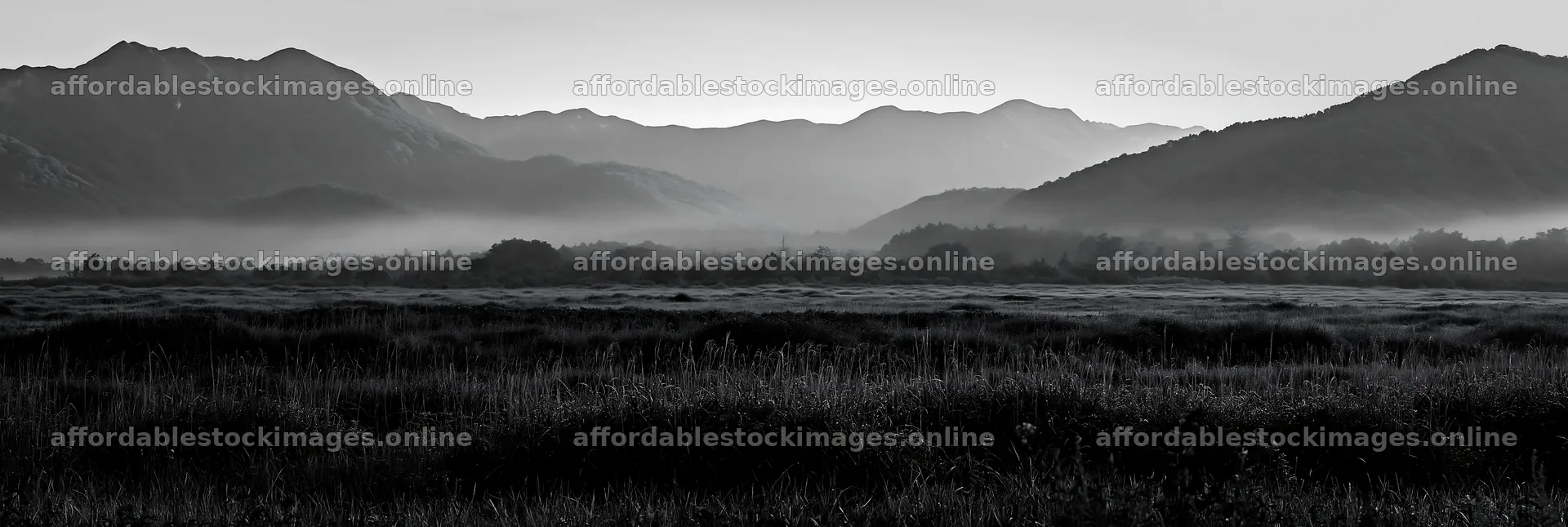 Expansive Hokkaido restoration meadow with dewdrops – stock images 13690x4602