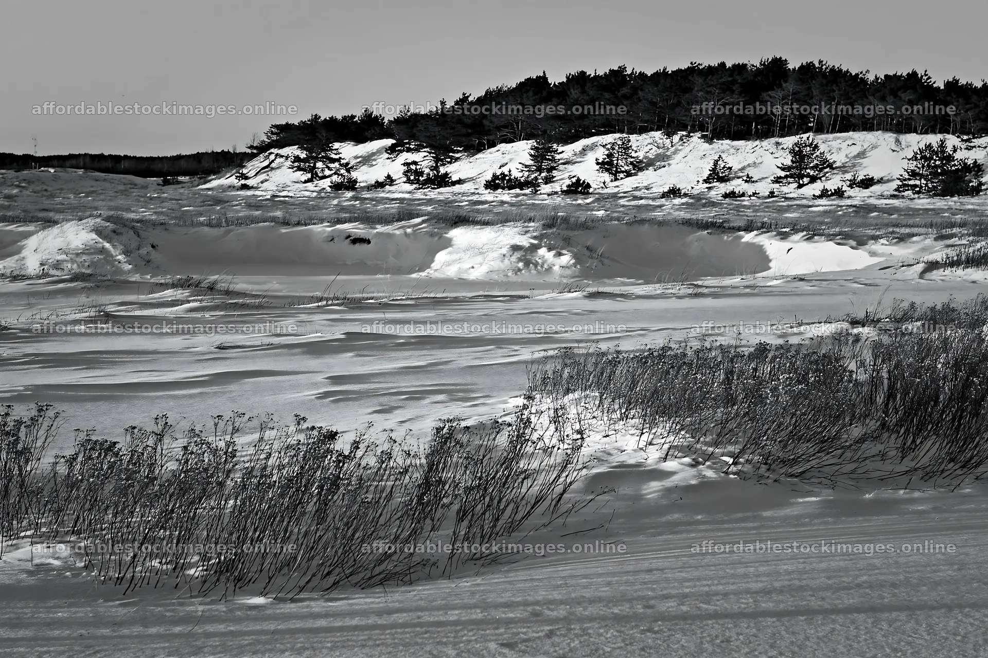 Dune meadow snow under a clear sky at sunset – stock images 9722x6480