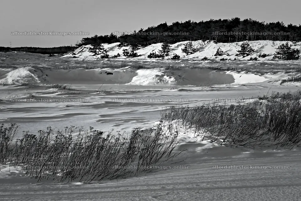 Dune meadow snow under a clear sky at sunset – stock images 9722x6480