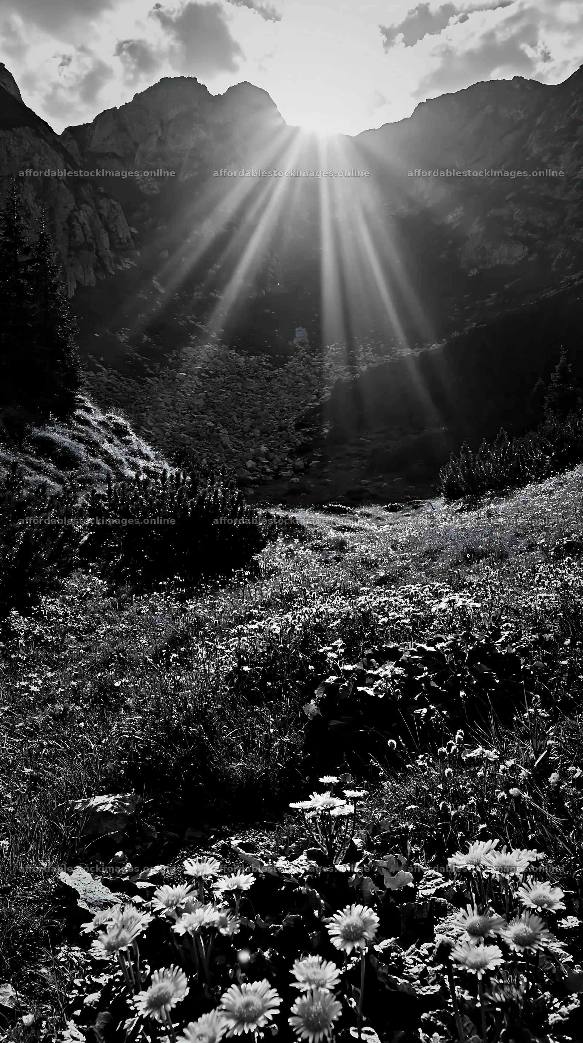 Light rays shining over meadow in Bucegi Mountains – stock images 5938x10608