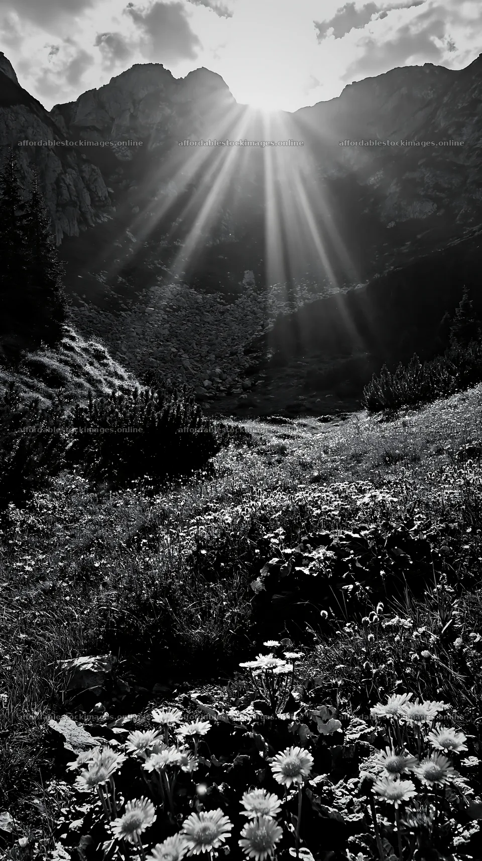Light rays shining over meadow in Bucegi Mountains – stock images 5938x10608