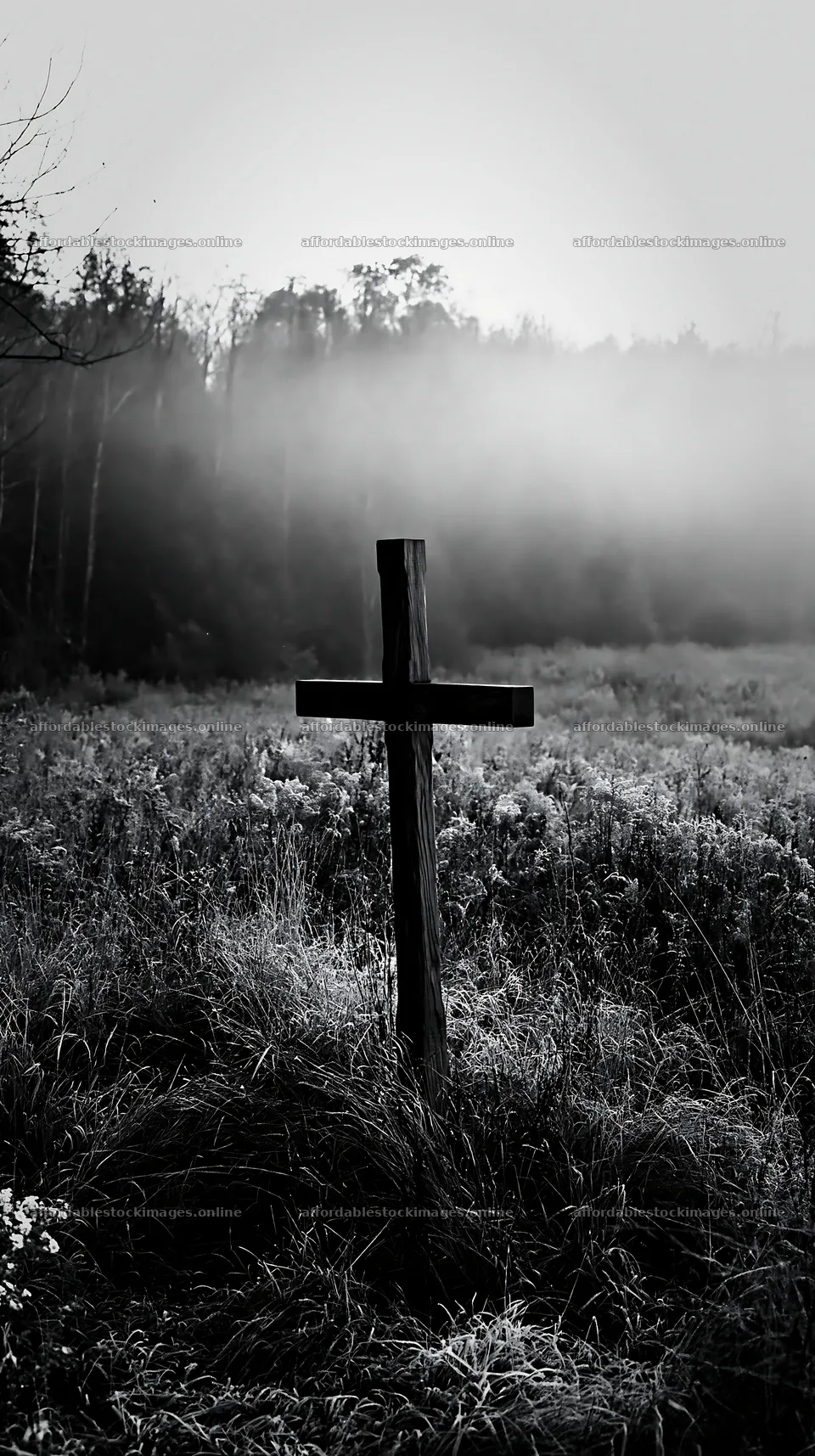 Carved oak cross in frosted meadow at dawn – stock images 5938x10608