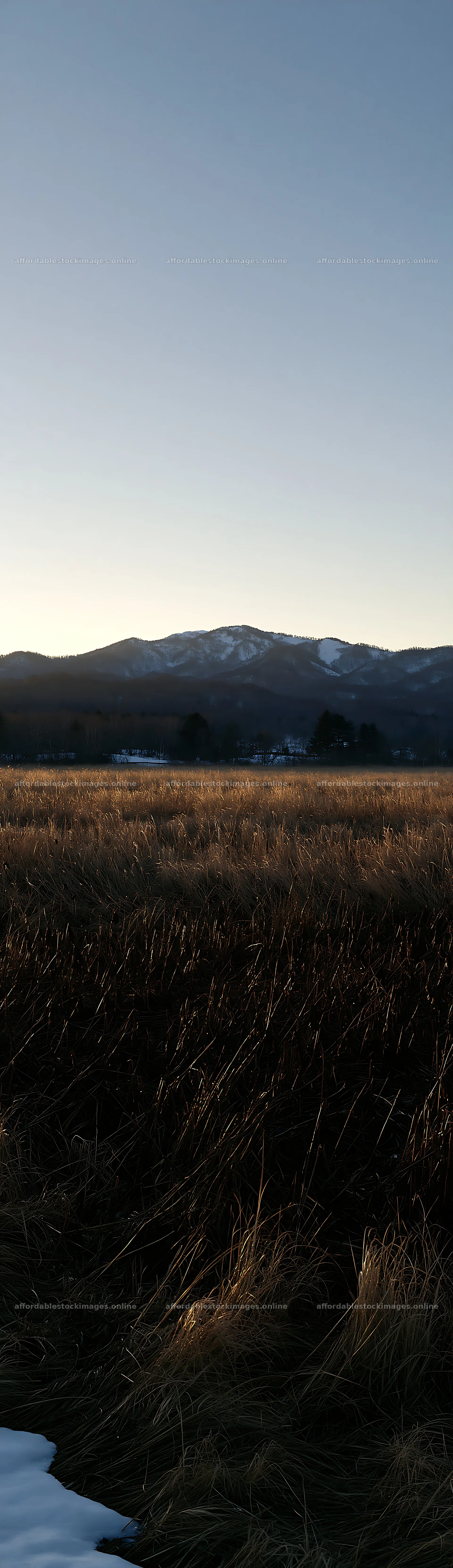 Akita snowmelt meadow with silver grasses under clear sky – stock images 4268x14762