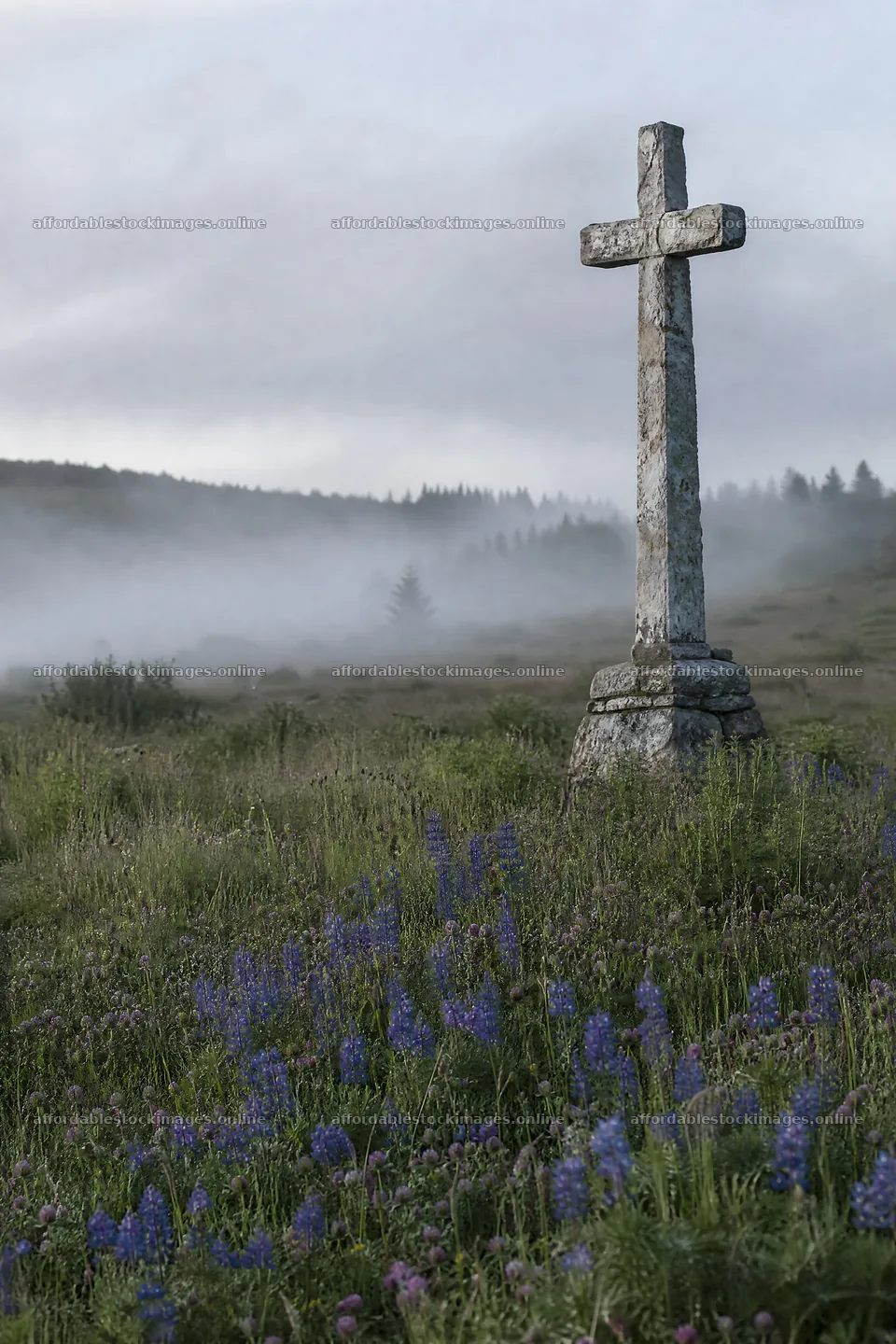 Weathered Christian cross in misty meadow with flowers – stock images 6480x9722