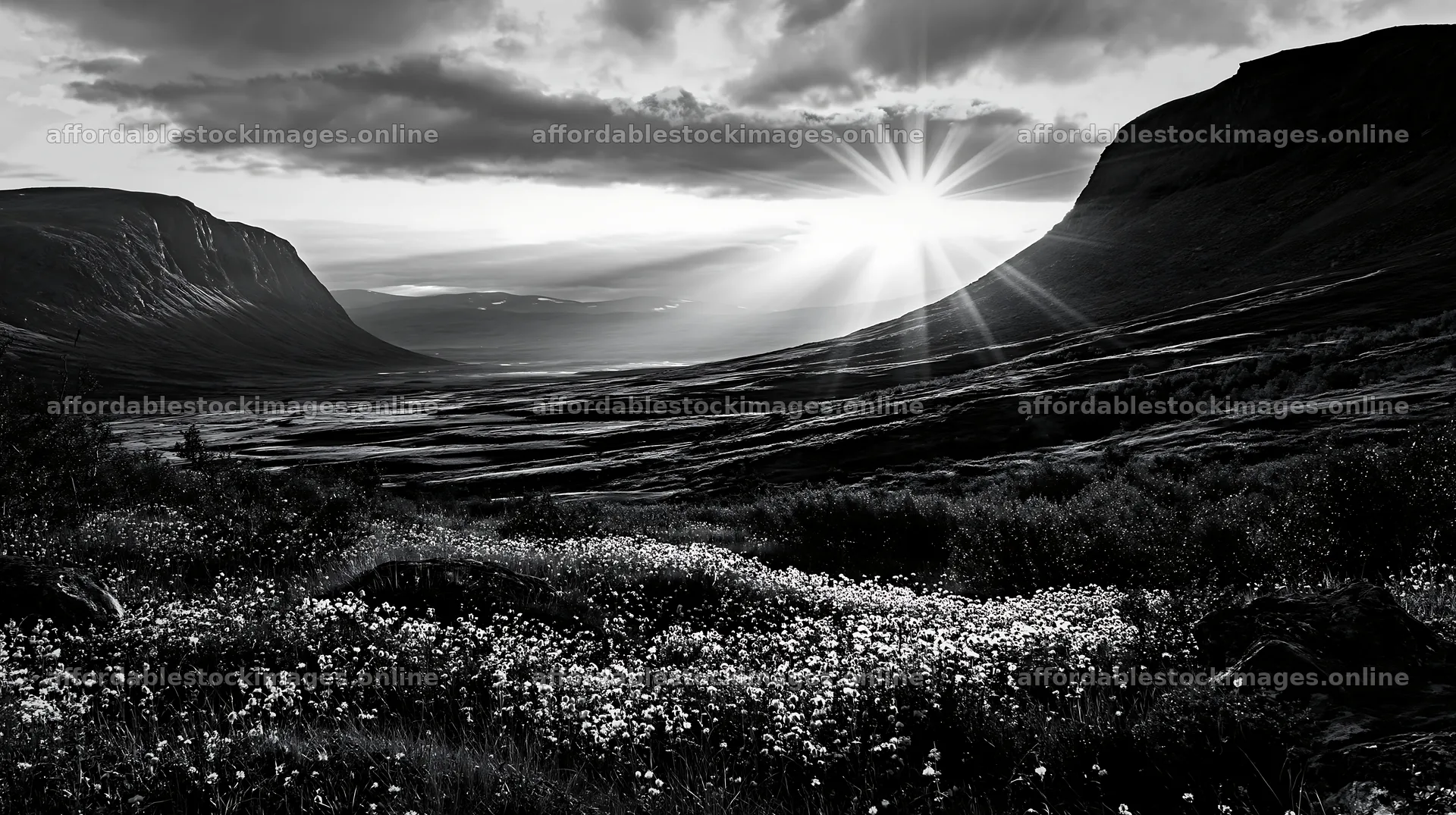 Jotunheimen valley meadow sunbeams during sunset – stock images 10608x5938
