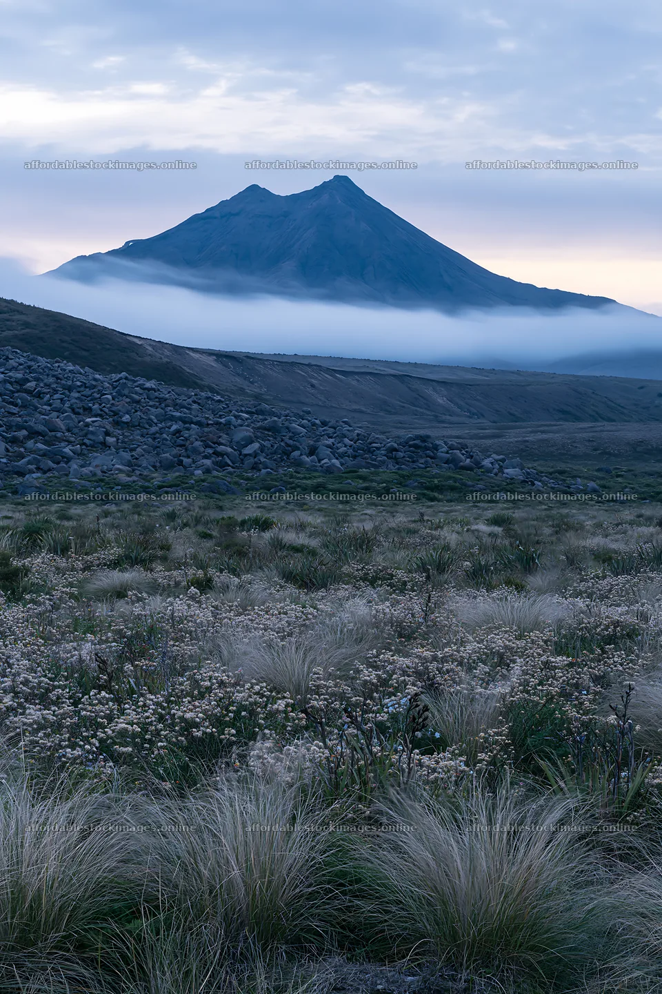 Poppy flax meadow with mountain and fog at sunrise – stock images 6480x9722
