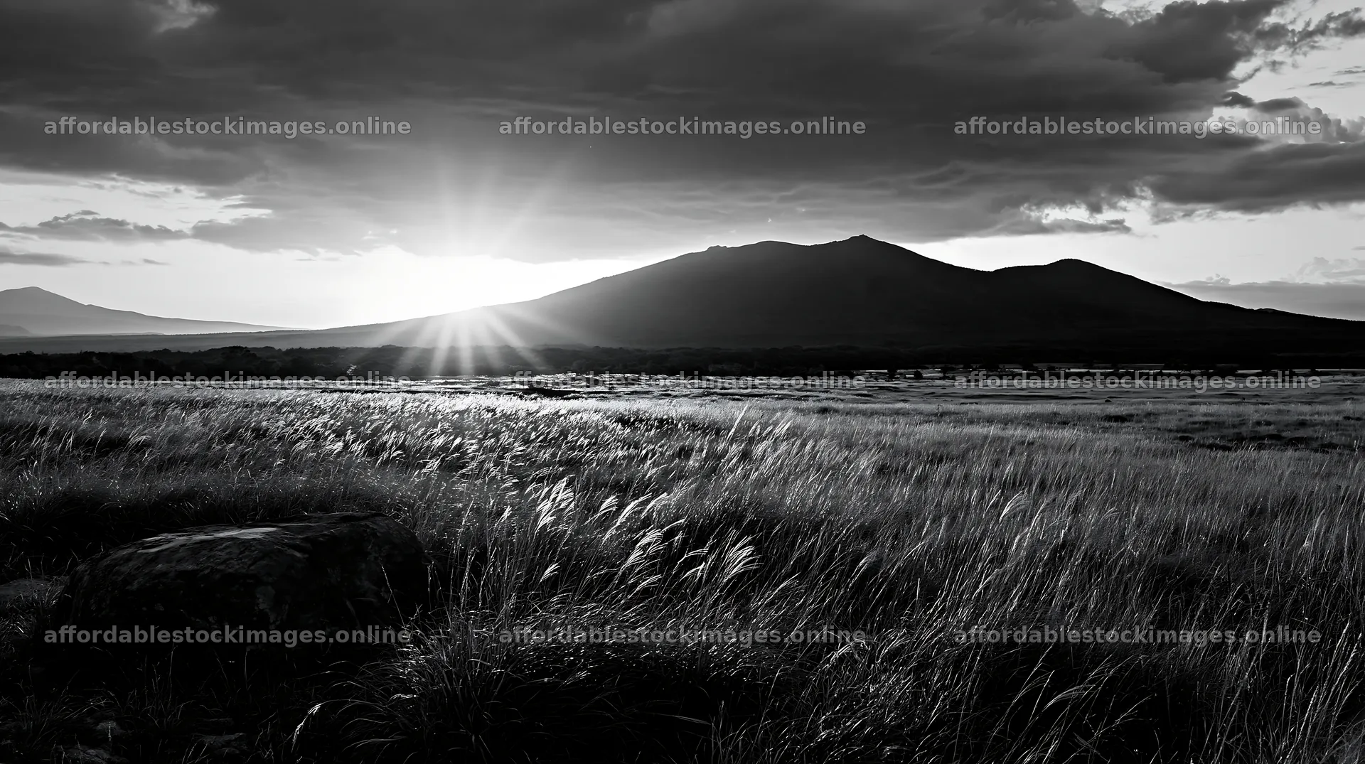 Aomori climate resilient meadow with boulder at sunset – stock images 10608x5938