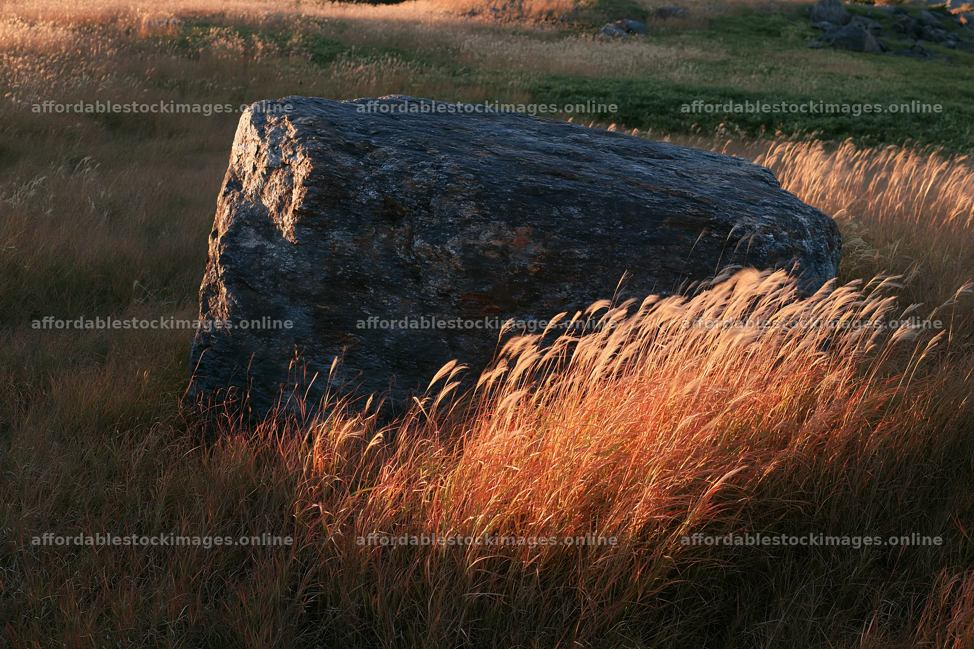 Nagano drought resilient meadow granite boulder in tall grass – stock images 9722x6480