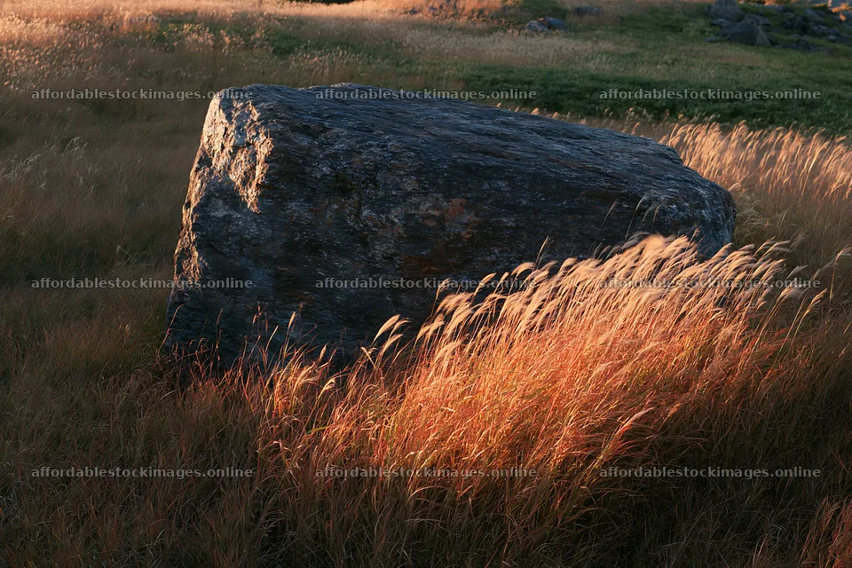 Nagano drought resilient meadow granite boulder in tall grass – stock images 9722x6480
